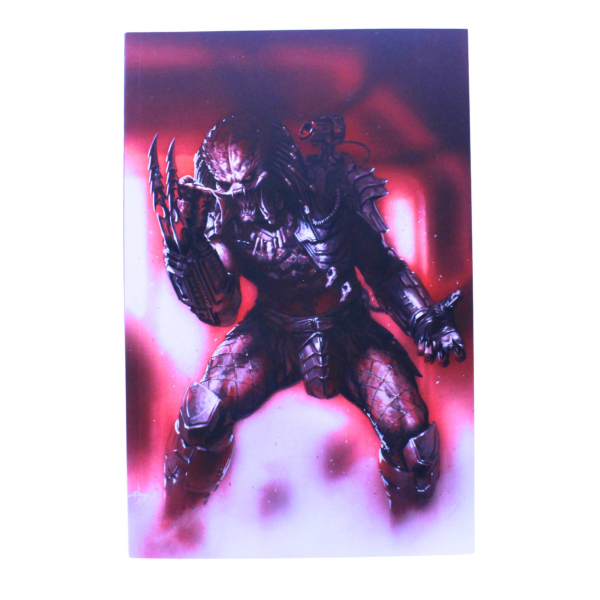 Predator 1 Dell'Otto Variant Comic Panini limitiert 222 | Hoppla-Stuff